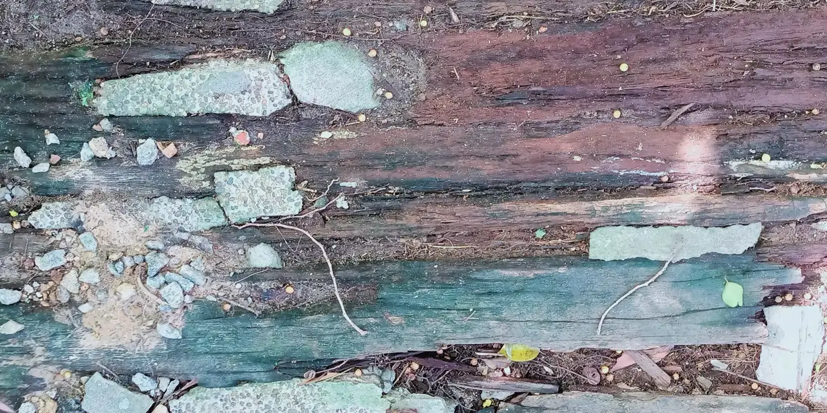 Close up of a cracked and worn wooden floor surface, subfloor repair
